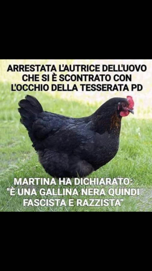 Post Satirico Pubblicato Da Enigmale Facciabuco