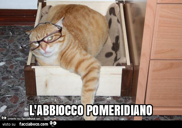L'abbiocco pomeridiano
