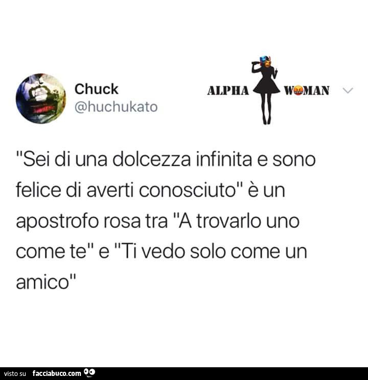 Sei di una dolcezza infinita e sono felice di averti conosciuto è un apostrofo rosa tra a trovarlo uno come te e ti vedo solo come un amico