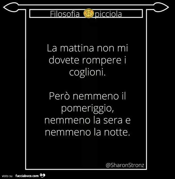 La mattina non mi dovete rompere i coglioni. Però nemmeno il pomeriggio, nemmeno la sera e nemmeno la notte