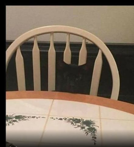 Il mistero della sedia sarà successo?…