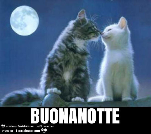 Buonanotte