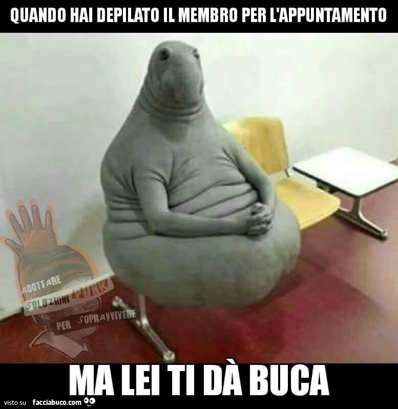 Quando hai depilato il membro per l'appuntamento ma lei ti dà buca