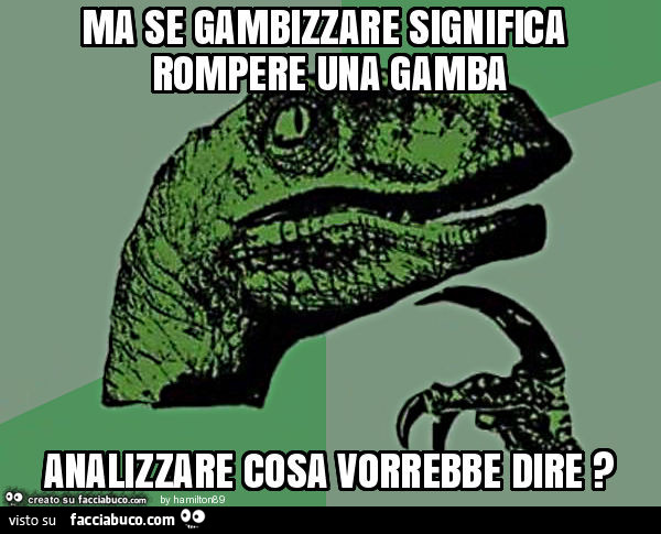 Ma se gambizzare significa rompere una gamba analizzare cosa vorrebbe dire?