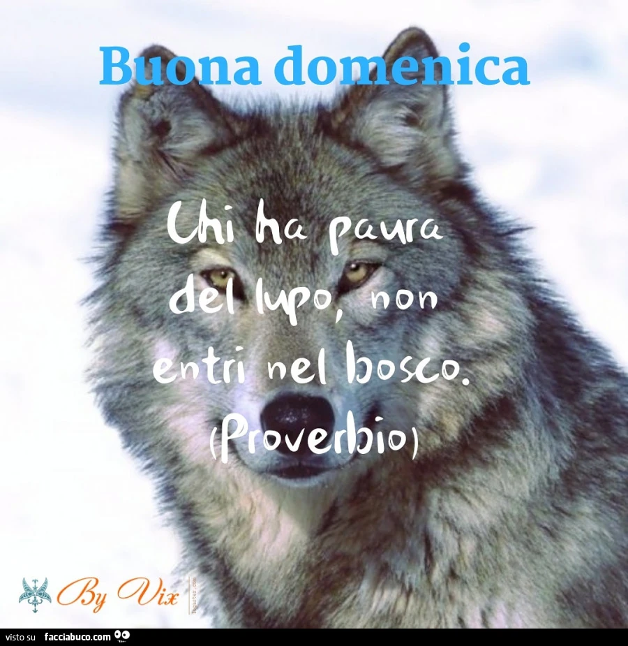 Buona Domenica. Chi ha paura del lupo non entri nel bosco