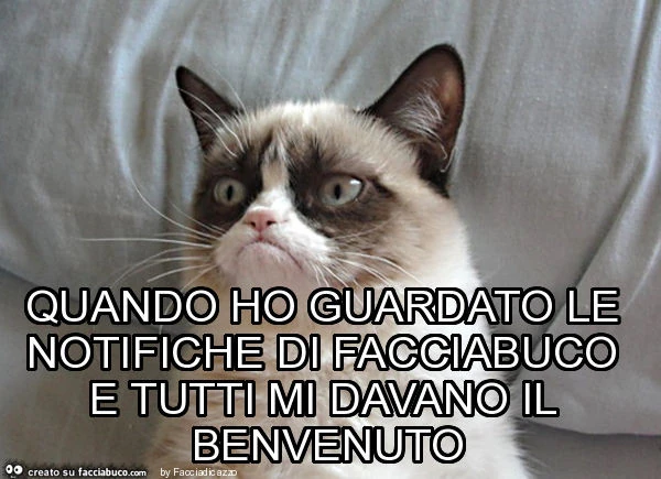 Quando ho guardato le notifiche di facciabuco e tutti mi davano il benvenuto