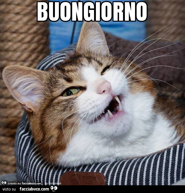Buongiorno