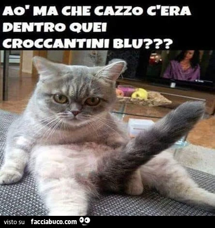 Ao ma che cazzo c'era dentro quei croccantini blu?