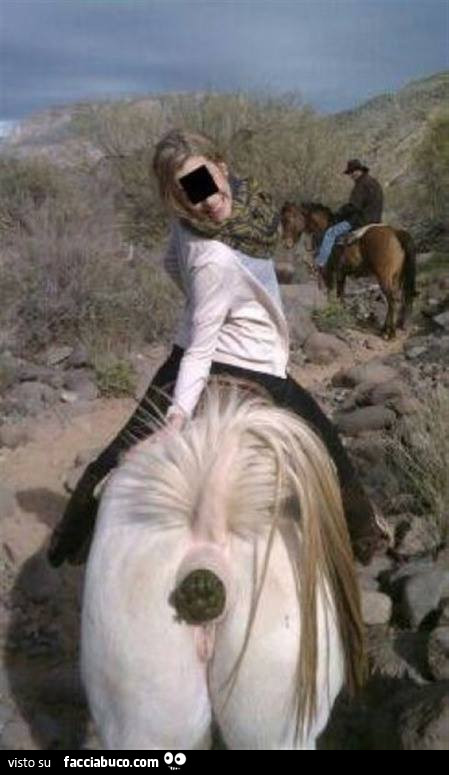 Il cavallo fa la cacca