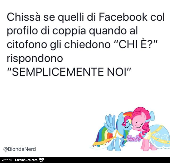 Chissà se quelli di facebook col profilo di coppia quando al citofono gli chiedono chi è? Rispondono semplicemente noi
