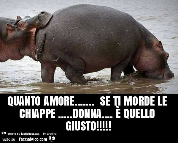 Quanto amore… se ti morde le chiappe… donna… è quello giusto