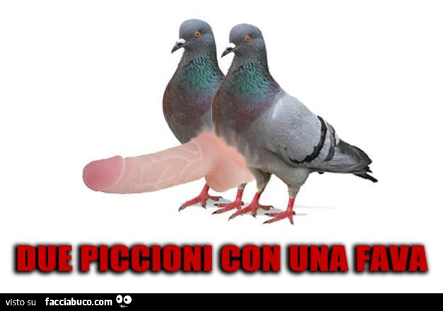 Due piccioni con una fava