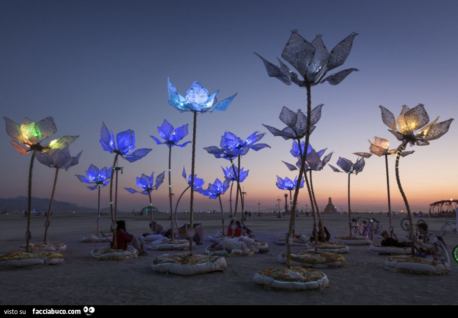 Lampade a forma di fiori in spiaggia