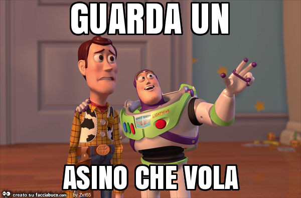 Guarda un asino che vola