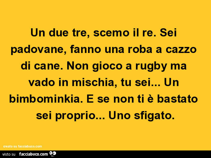Un due tre, scemo il re. Sei padovane, fanno una roba a cazzo di cane. Non gioco a rugby ma vado in mischia, tu sei… un bimbominkia. E se non ti è bastato sei proprio… uno sfigato