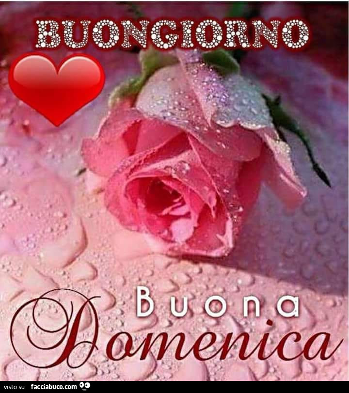 Buongiorno buona Domenica