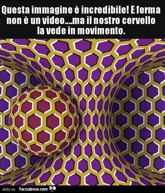 Questa immagine ò incredibile! E ferma non ò un video… ma il nostro cervello la vede in movimento