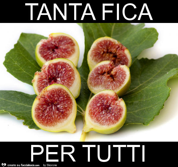 Tanta fica per tutti