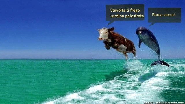 Vaccata