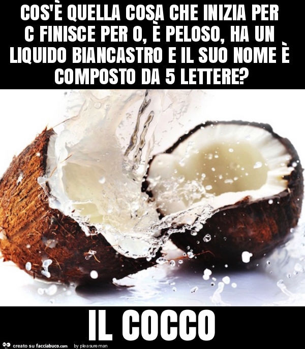 Cos E Quella Cosa Che Inizia Per C Finisce Per O E Peloso Ha Un Liquido Biancastro Facciabuco Com