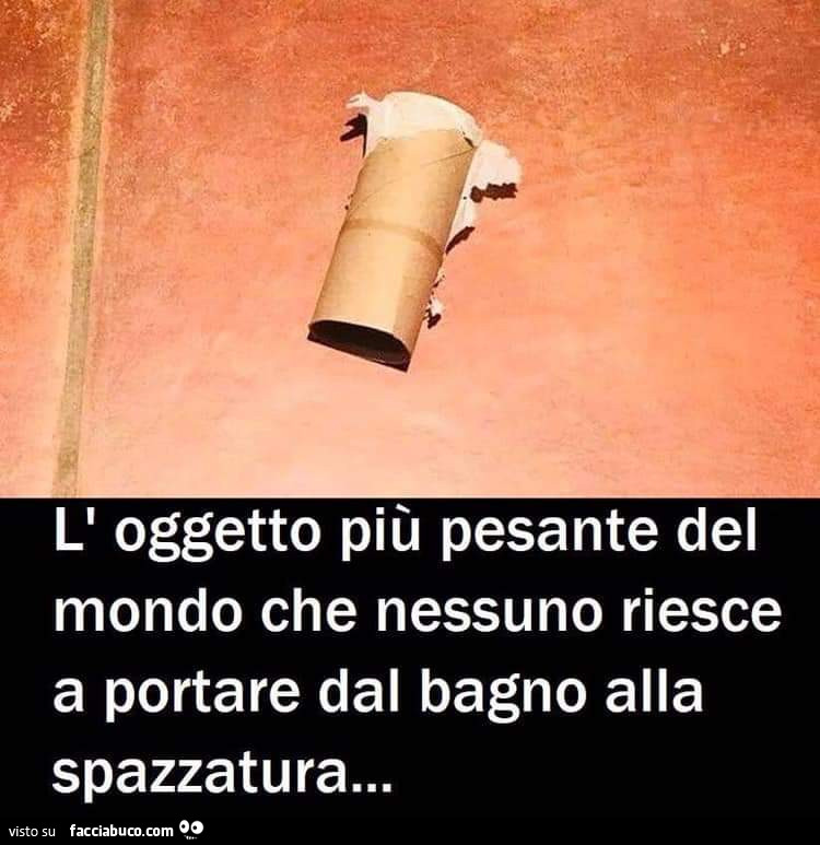 L'oggetto più pesante del mondo che nessuno riesce a portare dal bagno alla spazzatura…