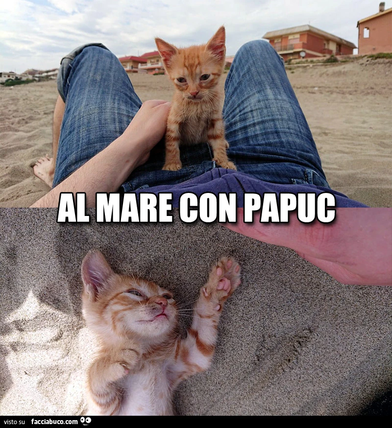 Al mare con Papuc