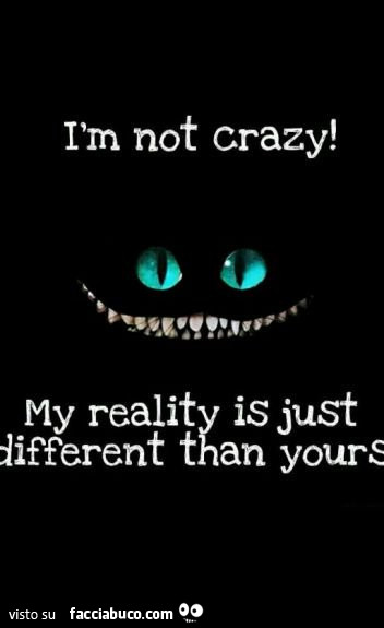 I am not crazy! My reality is just different than your