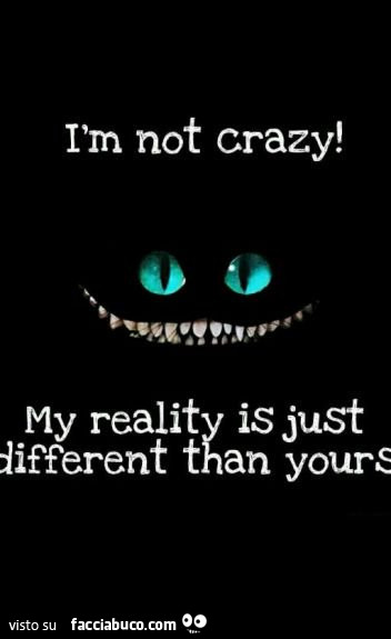 I am m not crazy! My reality is just different than your