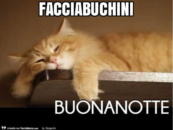 Facciabuchini