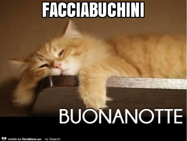 Facciabuchini