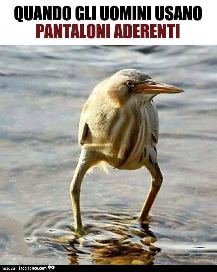 Quando gli uomini usano pantaloni aderenti