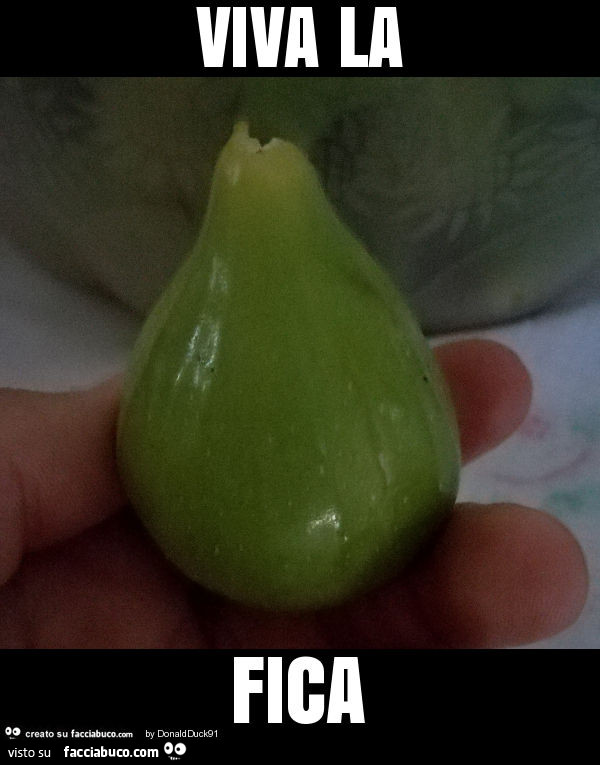 Viva la fica