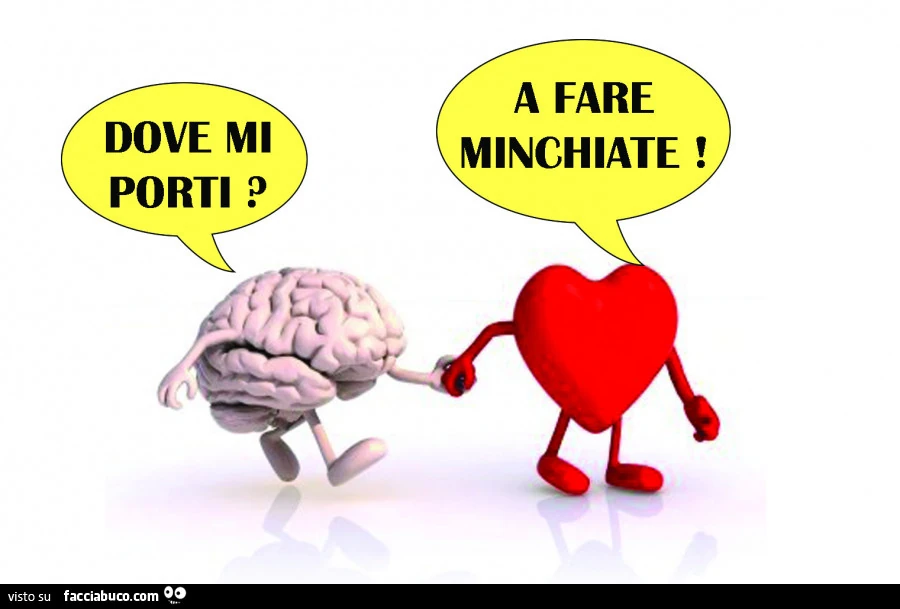Dove mi porti? A fare minchiate