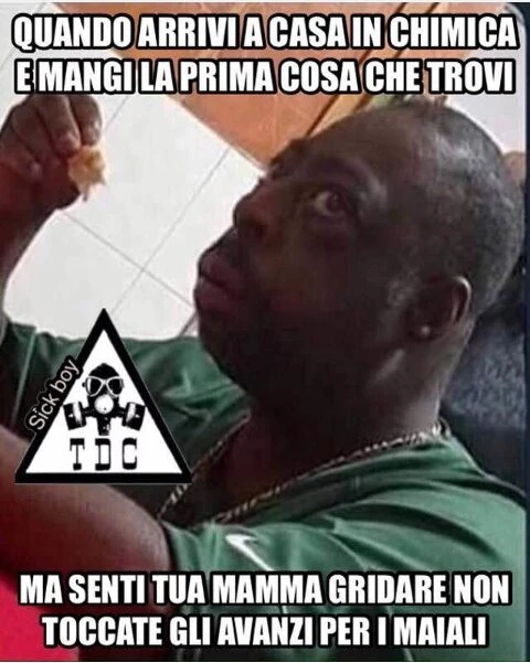 Quando arrivi in casa in chimica e mangi la prima cosa che trovi ma senti tua mamma gridare non toccate gli avanzi per i maiali