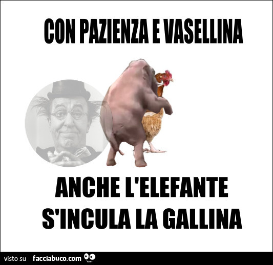Con pazienza e vasellina, anche l'elefante s'incula la gallina