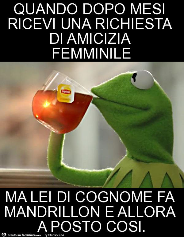 Quando dopo mesi ricevi una richiesta di amicizia femminile ma lei di cognome fa mandrillon e allora a posto cosi