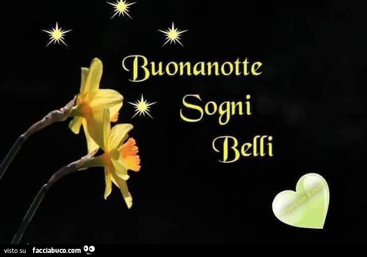 Buonanotte Sogni Belli Facciabuco Com