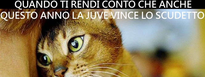 Scudetto Juventus