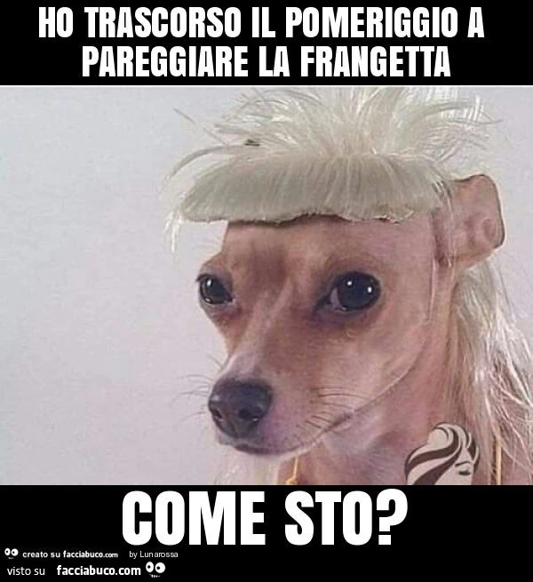 Ho trascorso il pomeriggio a pareggiare la frangetta come sto?