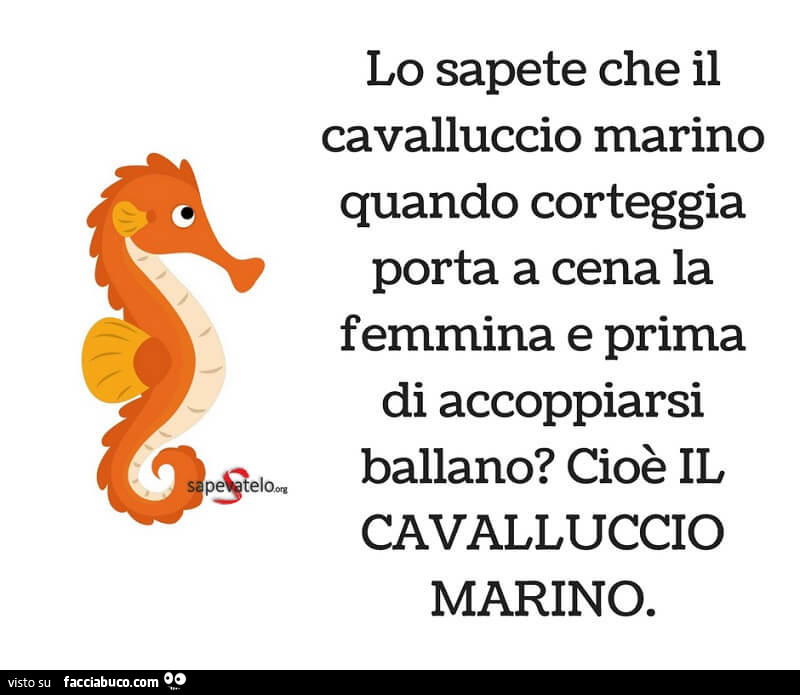Lo sapete che il cavalluccio marino quando corteggia porta a cena la femmina e prima di accoppiarsi ballano? Cioè il cavalluccio marino