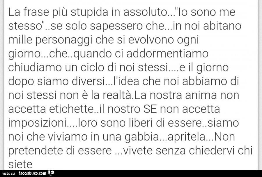 La frase più stupida in assoluto… io sono me stesso. Se solo sapessero che… in noi abitano mille personaggi che si evolvono ogni giorno