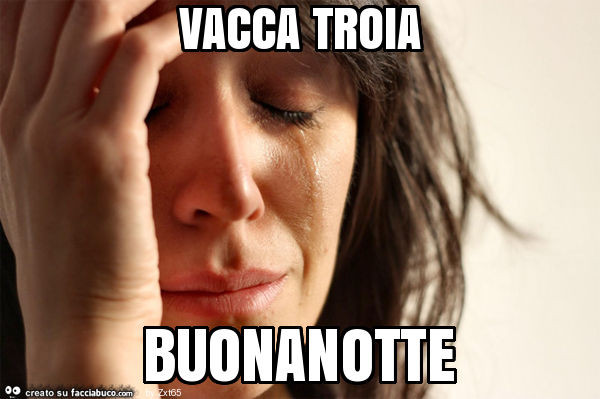Vacca troia buonanotte