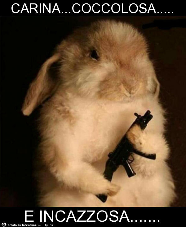 Carina… coccolosa… e incazzosa