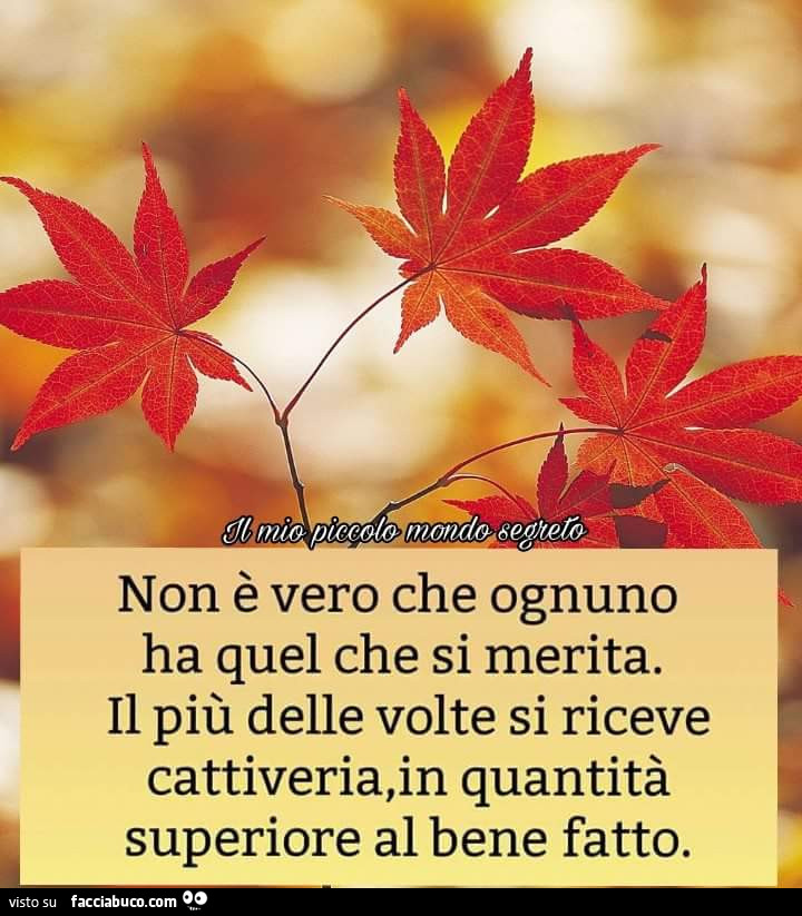 Non è vero che ognuno ha quel che si merita. Il più delle volte si riceve cattiveria, in quantità superiore al bene fatto