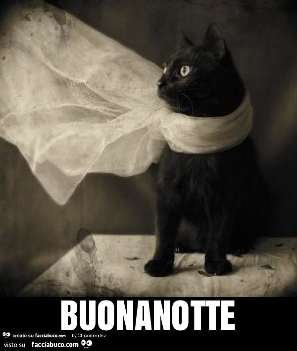 Buonanotte