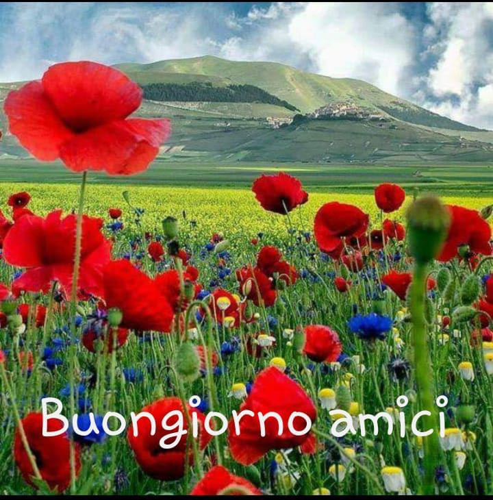 Buongiorno E Buona Giornata A Tutta La Compagnia Di Facciabuco Facciabuco Com