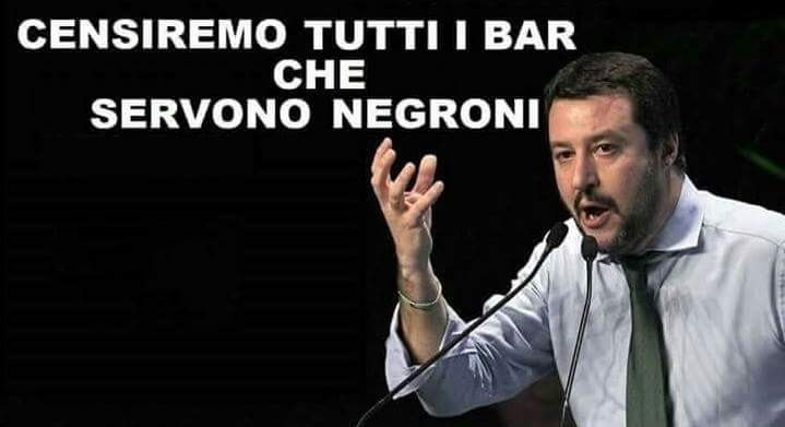 Risultati immagini per matteo salvini meme