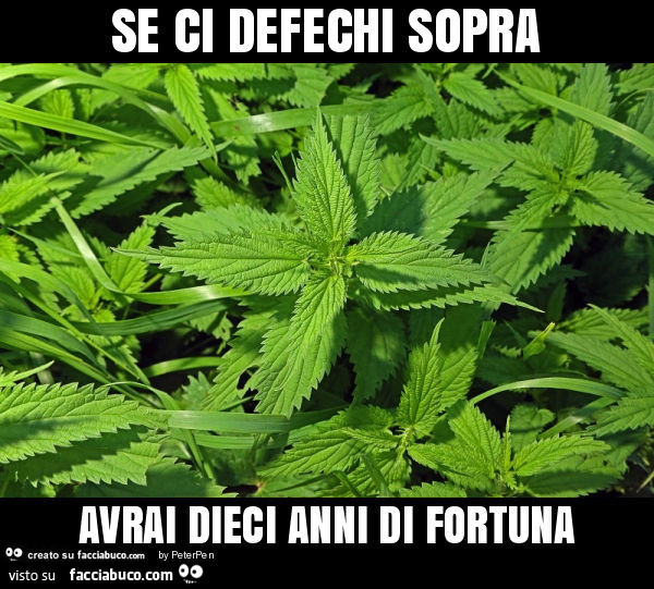 Se ci defechi sopra avrai dieci anni di fortuna