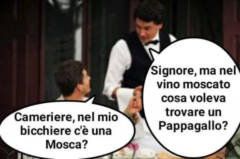 Vaccata