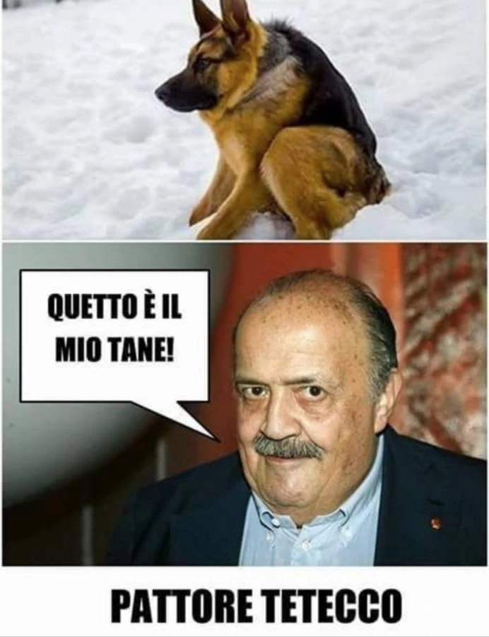 #mauriziocostanzocommentacose